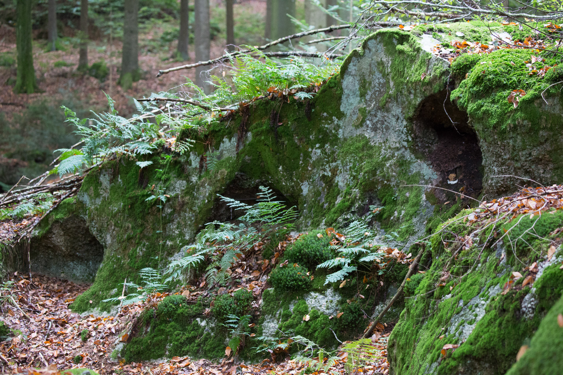 20231014100727 3K6A2260